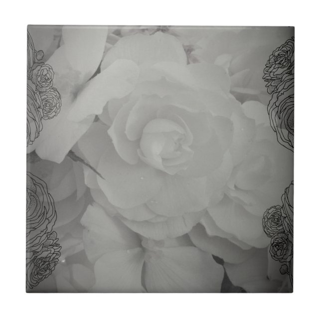 Azulejo De Cerámica Begonia blanca (Frente)