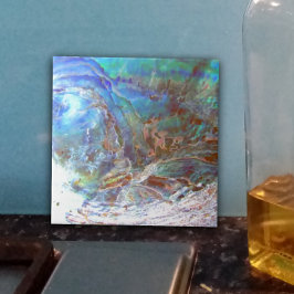 Azulejo De Cerámica Bella Paua Black Abalone Nueva Zelanda Shell