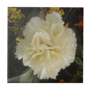 Azulejo De Cerámica Belleza de carnación blanca en mosaico