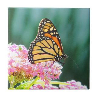 Azulejo De Cerámica Belleza mariposa mosaico decorativo