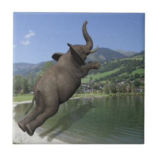 Azulejo De Cerámica Belly Flop Elephant