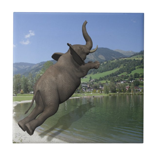 Azulejo De Cerámica Belly Flop Elephant (Frente)