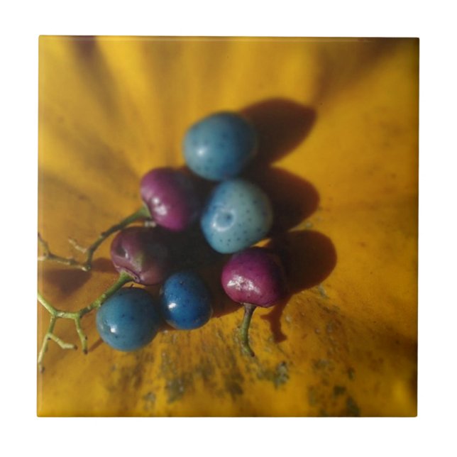 Azulejo De Cerámica Berries de porcelana y calabaza (Frente)