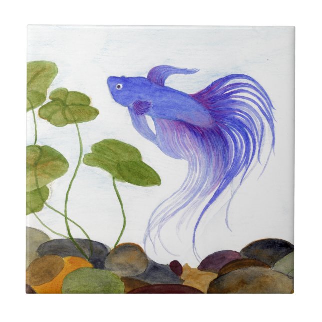 Azulejo De Cerámica Betta Fish (Frente)