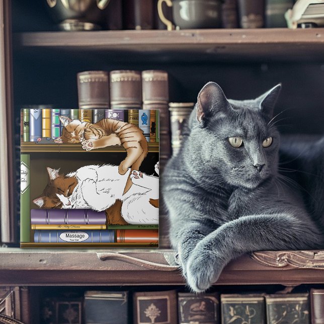 Azulejo De Cerámica Biblioteca de libros Shelf Cats (Subido por el creador)