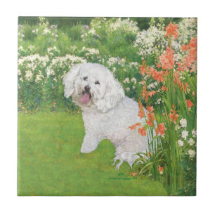 Azulejo De Cerámica Bichon Frise Fantasía Coral