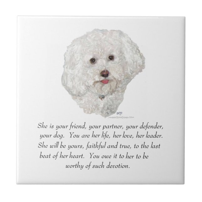 Azulejo De Cerámica Bichon Frise Keepsake FEMALE (Frente)