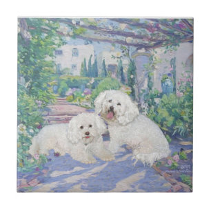 Azulejo De Cerámica Bichon Frise Lavender Bower