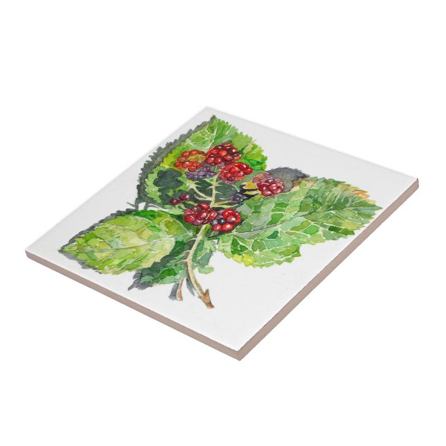 Azulejo De Cerámica BlackBerry (Lado)