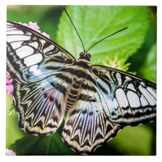 Azulejo De Cerámica Blue Clipper
