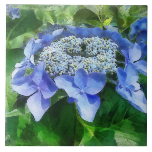 Azulejo De Cerámica Blue Lace Cap Hydrangea Vamos a bailar Starlight
