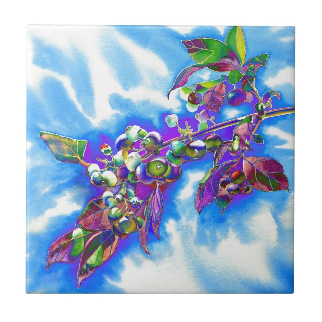 Azulejo De Cerámica Blueberry Solar (Frente)