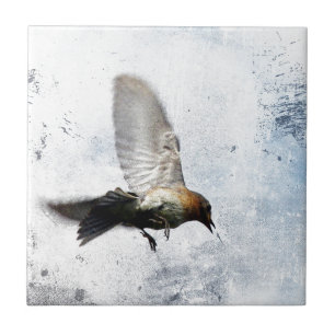 Azulejo De Cerámica Bluebird Grunge