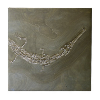 Azulejo De Cerámica Bollensis fósil de Steneosaurus del cocodrilo del