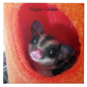 Azulejo De Cerámica Bolsa para dormir naranja para Sugar Glider lindo