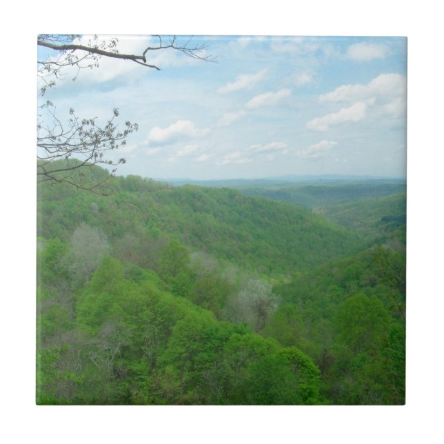 Azulejo De Cerámica Bonito Appalachian (Frente)