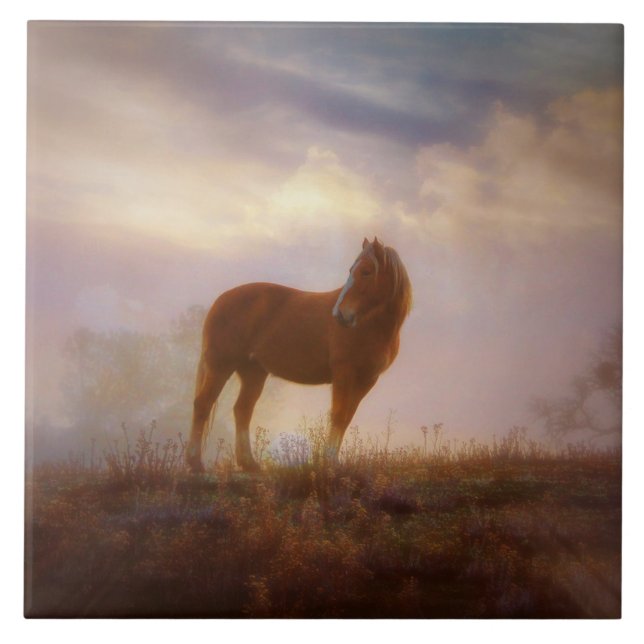 Azulejo De Cerámica Bonito Palomino Mustang Art Tile (Frente)