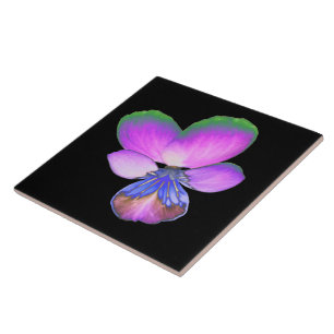 Azulejo De Cerámica Bonito Pansy Tile