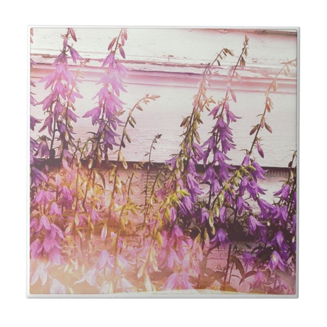 Azulejo De Cerámica Bonito púrpura (Frente)