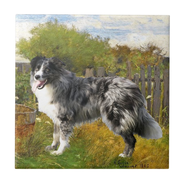 Azulejo De Cerámica Border Collie en la granja (Frente)