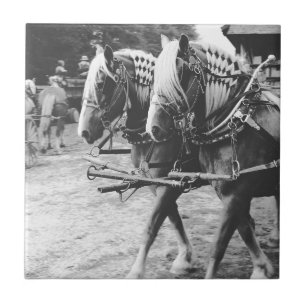 Azulejo De Cerámica Borrador de caballos de trabajo en blanco y negro