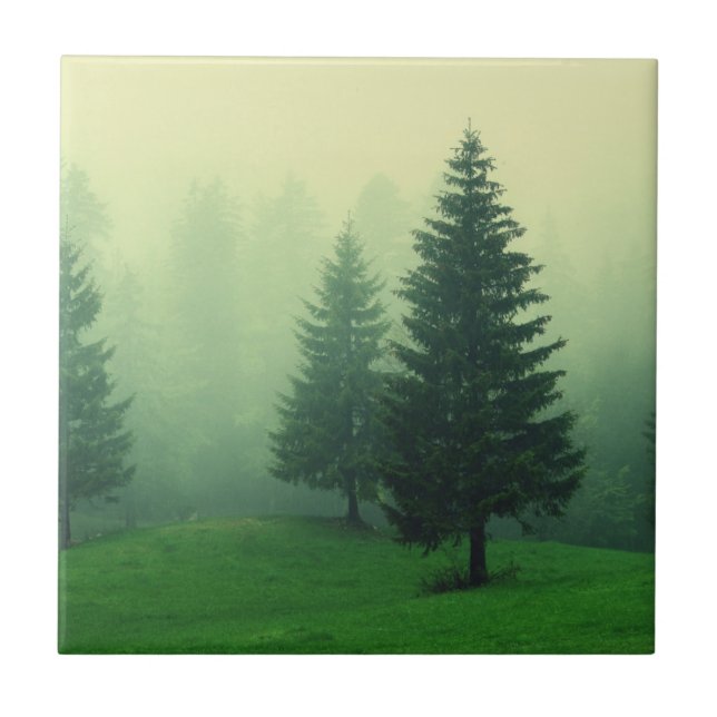 Azulejo De Cerámica Bosque brumoso del pino (Frente)