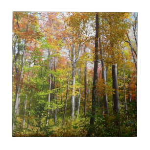 Azulejo De Cerámica Bosque de otoño I Fotografía de paisaje de otoño