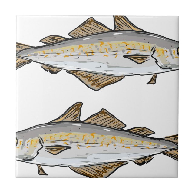 Azulejo De Cerámica Bosquejo de los pescados de Pollock (Frente)