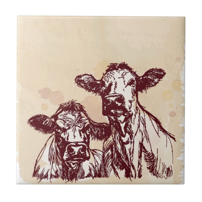 Azulejo De Cerámica Bosquejo del drenaje de la mano de dos vacas y (Frente)