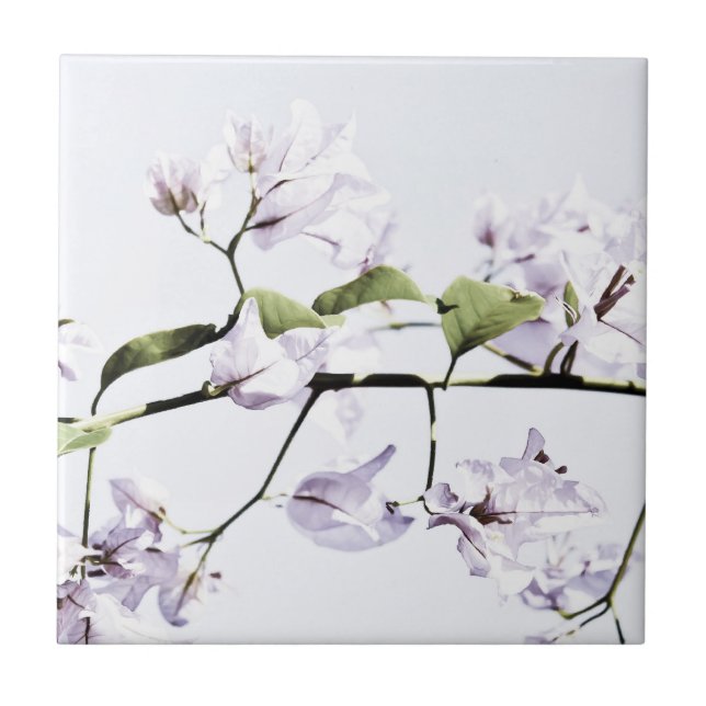 Azulejo De Cerámica Bougainvillea (Frente)