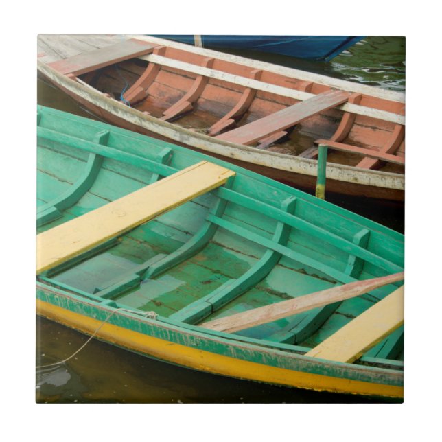 Azulejo De Cerámica Brasil, Amazonía, Alter Do Chao 2 (Frente)