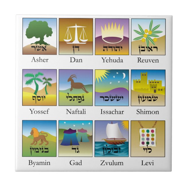 Azulejo De Cerámica Brasões das dormita el conforme de Tribos de (Frente)