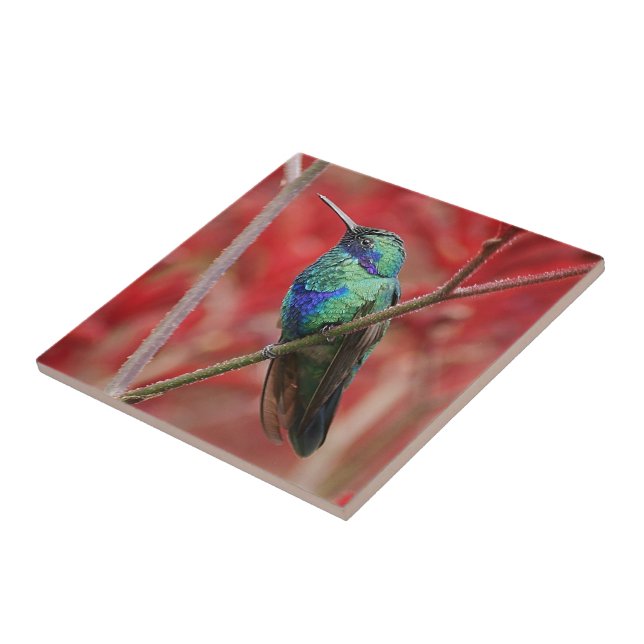 Azulejo De Cerámica Brillo iridiscente (Lado)