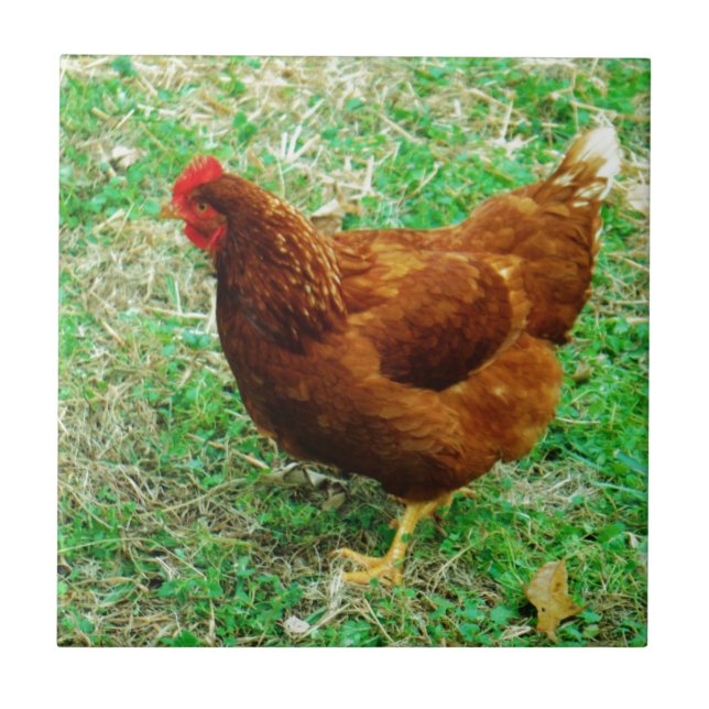 Azulejo De Cerámica Brown Hen (Frente)