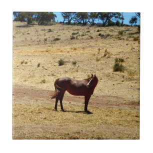 Azulejo De Cerámica Brown_Horse_Country,_