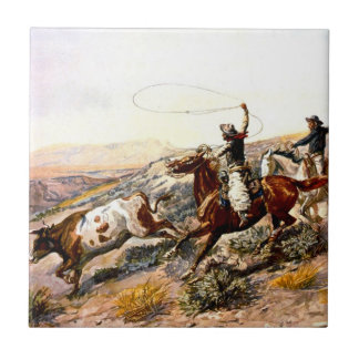 Azulejo De Cerámica Buccaroos