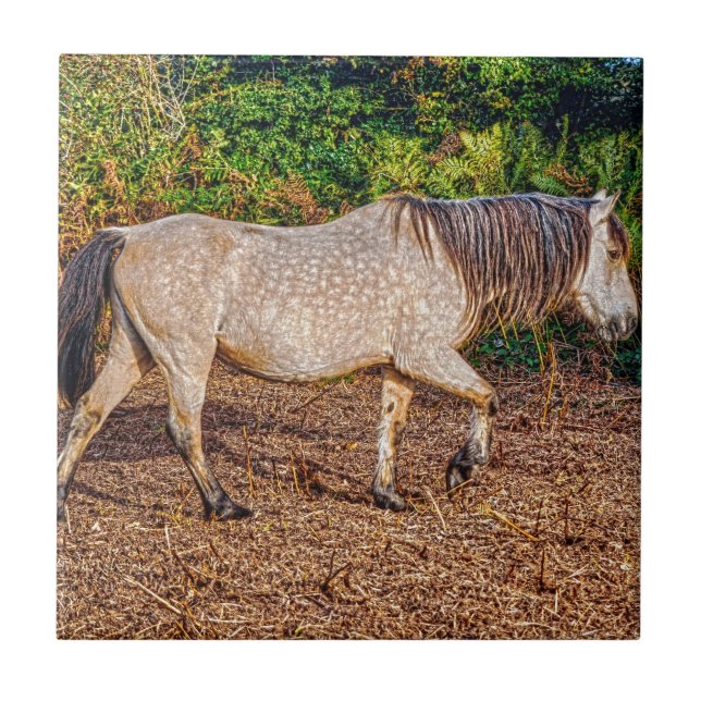 Azulejo De Cerámica Buckskin New Forest Pony Wildlife (Frente)