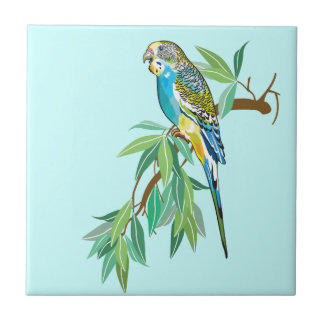 Azulejo De Cerámica budgerigar