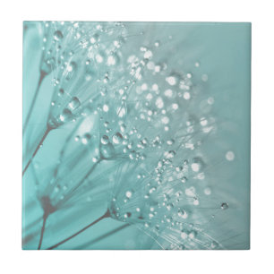 Azulejo De Cerámica Buenos días Frescor