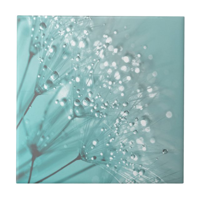 Azulejo De Cerámica Buenos días Frescor (Frente)