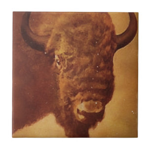 Azulejo De Cerámica Búfalo / Bison