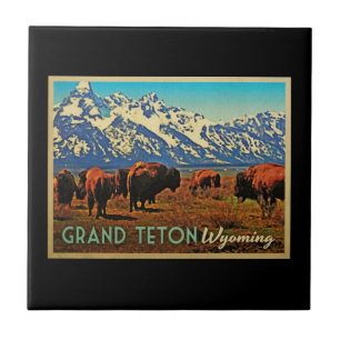 Azulejo De Cerámica Búfalo de Grand Teton Wyoming