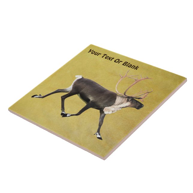 Azulejo De Cerámica Bull Caribou (Lado)
