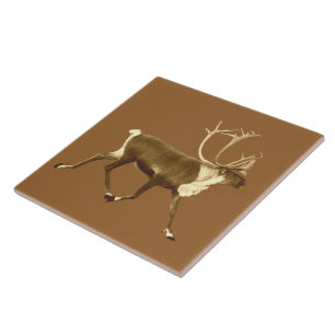 Azulejo De Cerámica Bull Caribou - Sepia