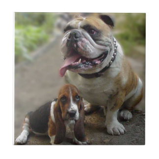 Azulejo De Cerámica Bulldog & BabyBassett - of aware my best friend
