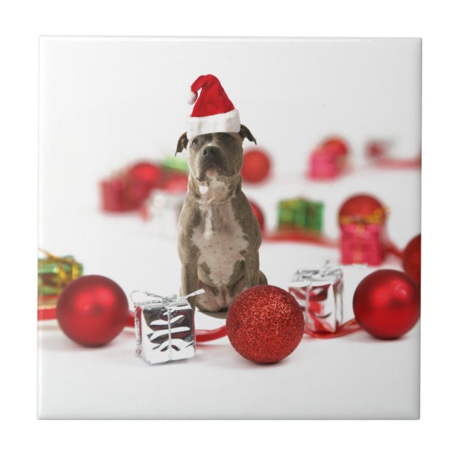 Azulejo De Cerámica Bulldog con caja de regalo y adornos navideños (Frente)