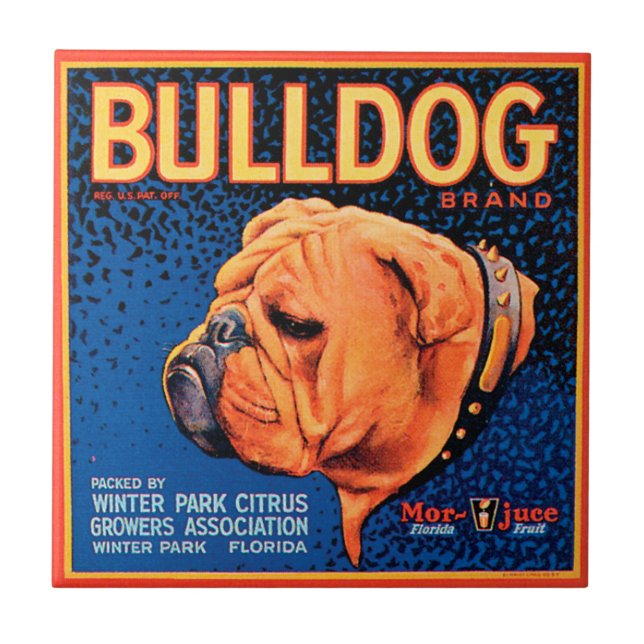 Azulejo De Cerámica Bulldog sobre un fondo azul (Frente)