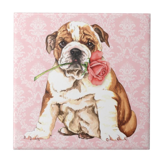 Azulejo De Cerámica Bulldog subió tarjeta del día de San Valentín (Frente)