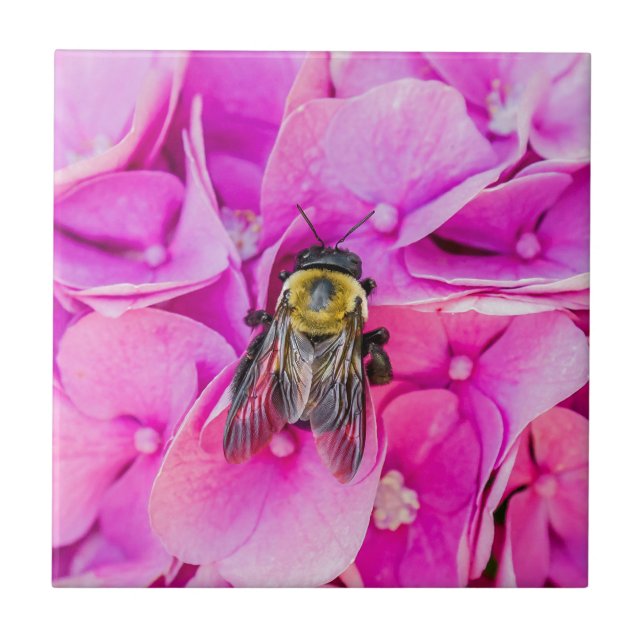 Azulejo De Cerámica Bumble Bee En Hydrangea (Frente)