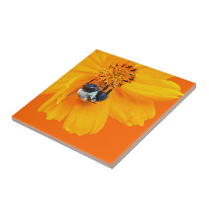 Azulejo De Cerámica Bumblebee en Cosmos